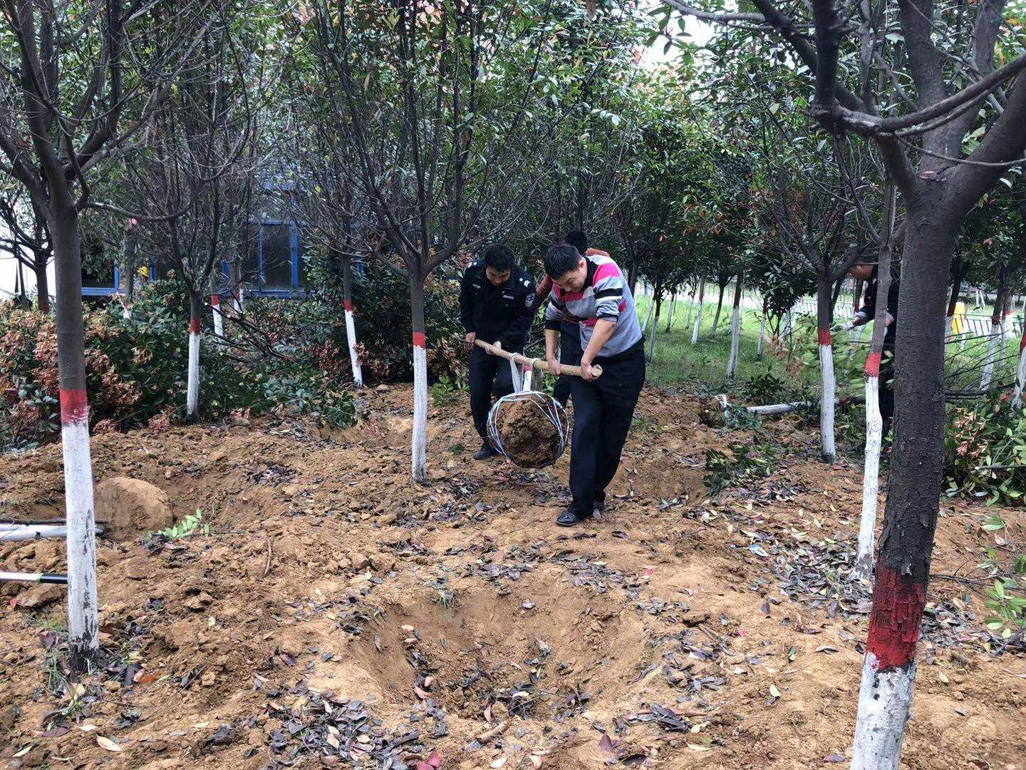 細節之處顯作風--植樹節活動有感 細節之處顯作風--植樹節活動有感