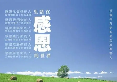 �`�С�����Ҫ�󡱣����ړ������ڷ�I�����W���ж���֪؟���ɼ����О顱�и�